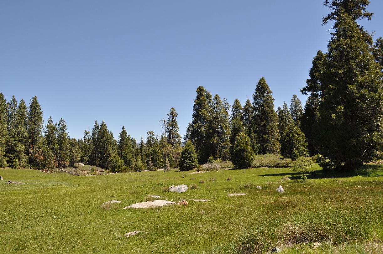 Dinkey Creek Sierra National Forest